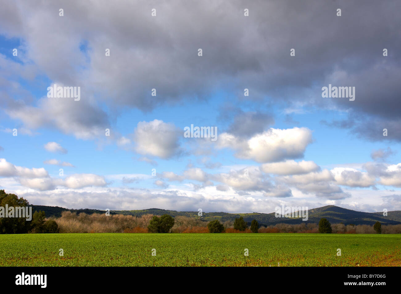 campo verde,cloudy field natural park environment Andalusian landscape, Los Alcornocales Stock Photo