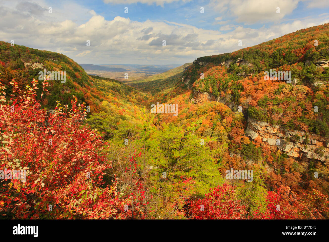 Overlook Trail, Cloudland Canyon State Park, Rising Fawn, USA