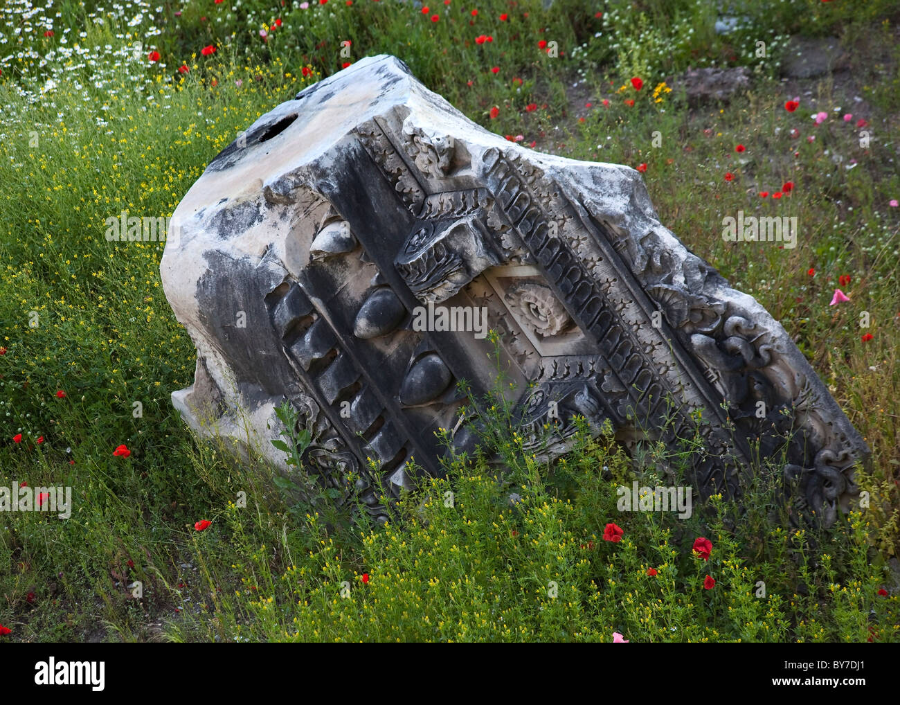 Poppies rome hi-res stock photography and images - Alamy