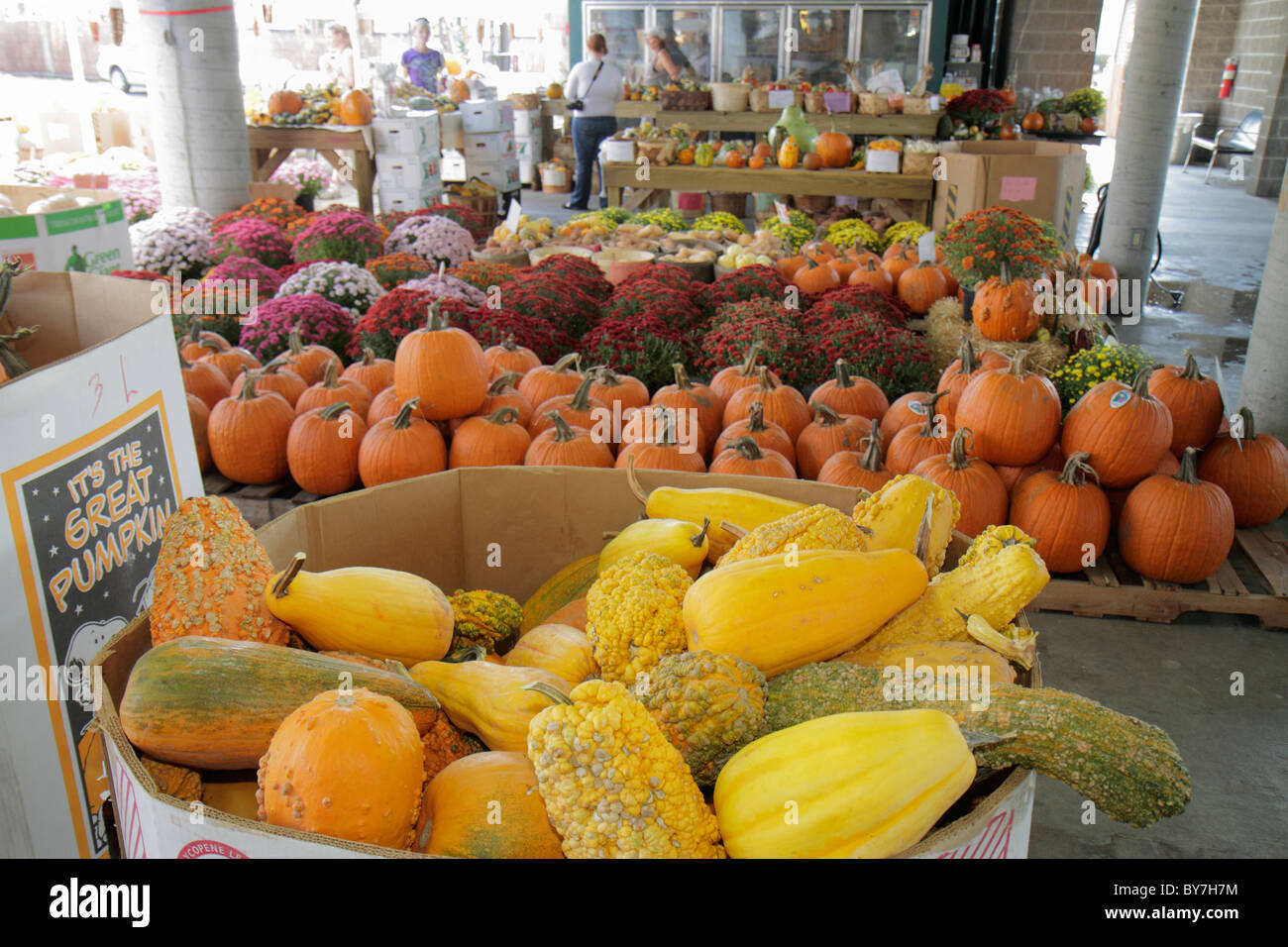 Nashville Tennessee Nashville Farmers' Market agriculture locally Stock