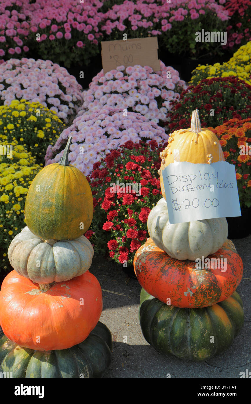 Nashville Tennessee Nashville Farmers' Market agriculture locally Stock Photo 33973353 Alamy
