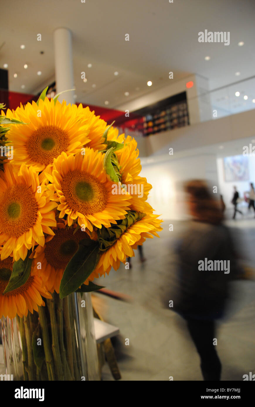 Flowers in the foyer of the Museum of Modern Art (MOMA), New York City Stock Photo