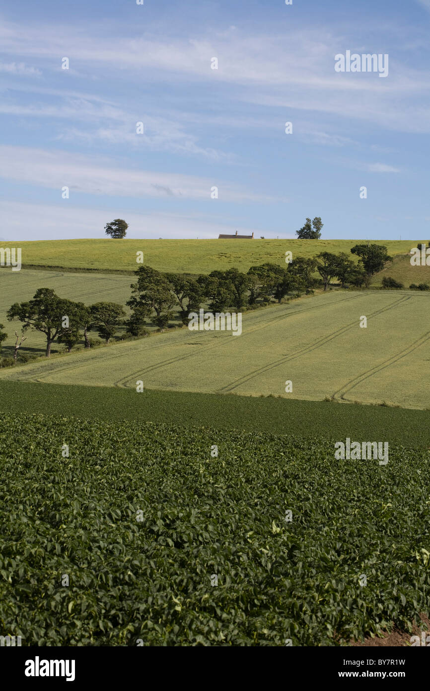 Flodden Field 1513 the site of the battle near the village of Branxton
