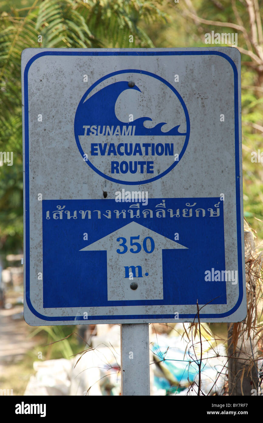 Tsunami warning koh phi phi