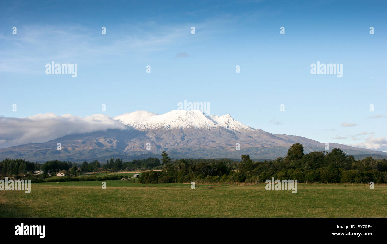 Whanganui visual data 7