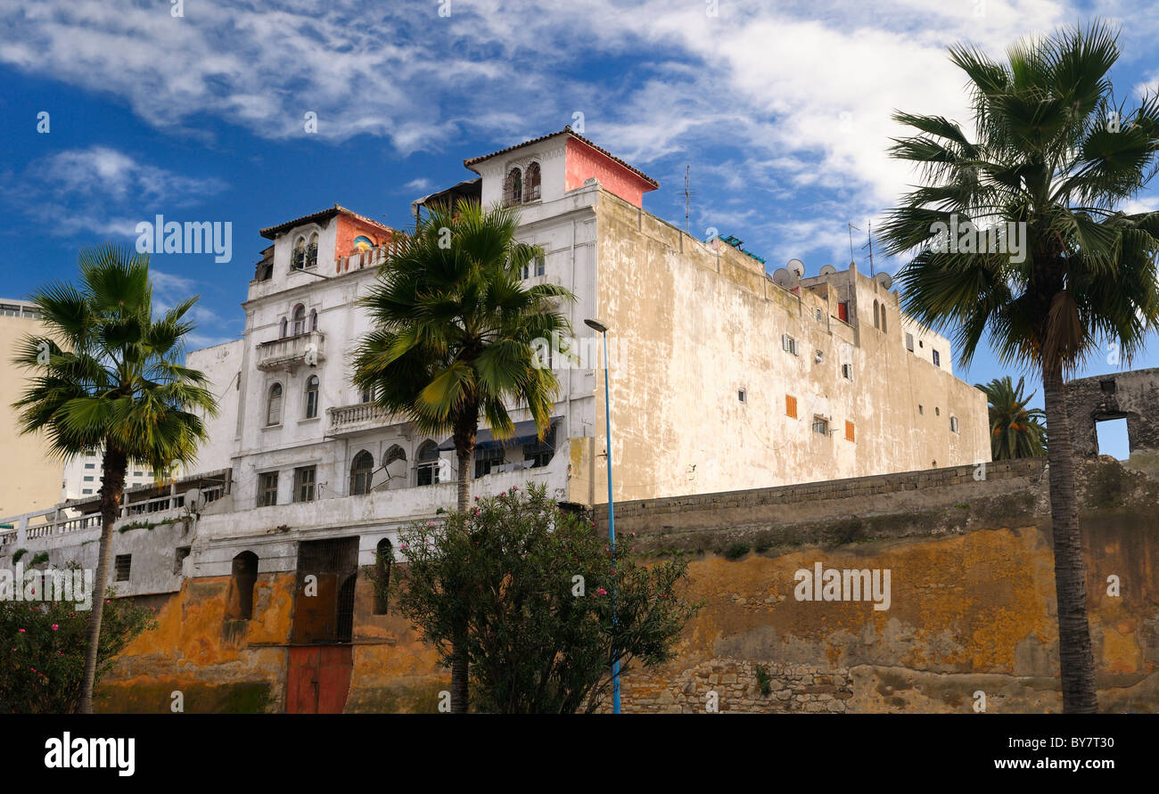 Outer wall of the Old Medina in Casablanca with Palm trees and Oleander Stock Photo