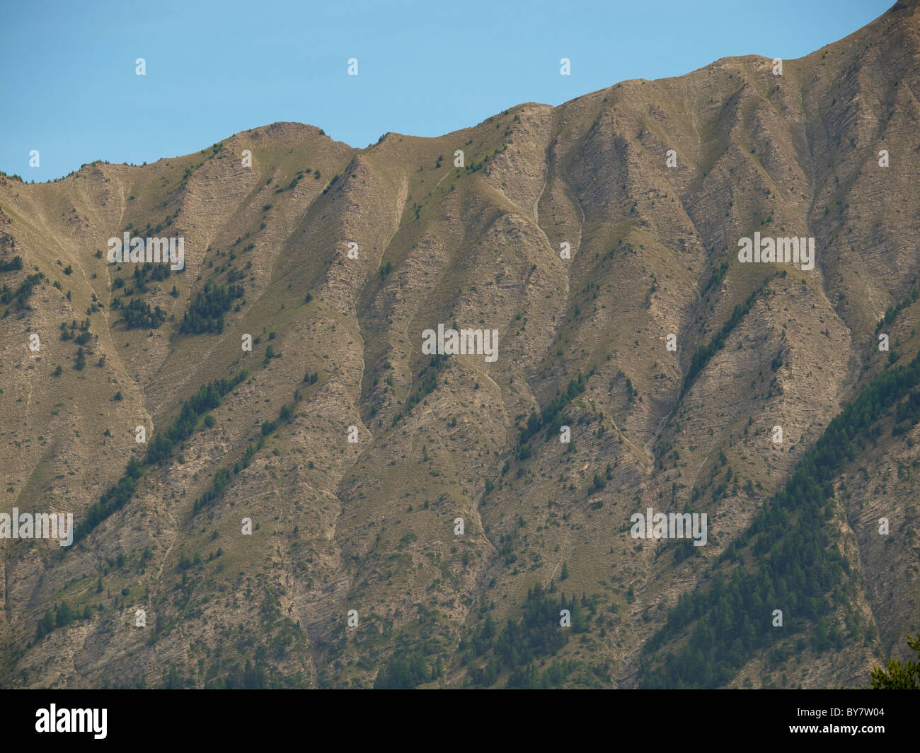 Treeline in the French Alps, about 2000m altitude Stock Photo Alamy