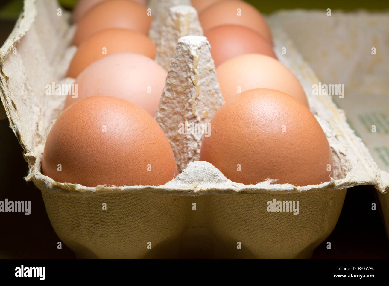 ten eggs in a box Stock Photo Alamy
