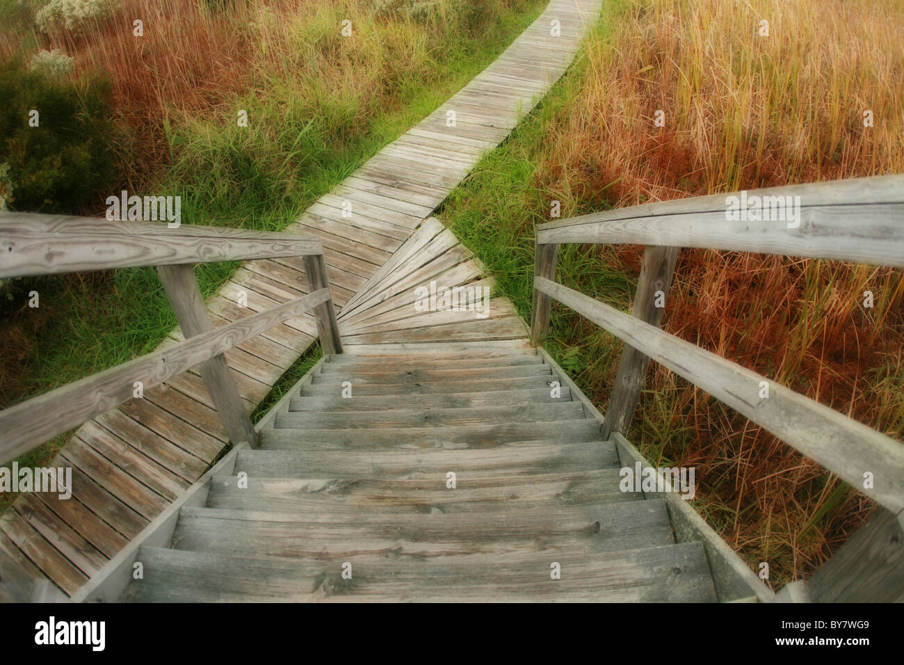 steps stairs driftwood beach outer banks north carolina Stock Photo Alamy