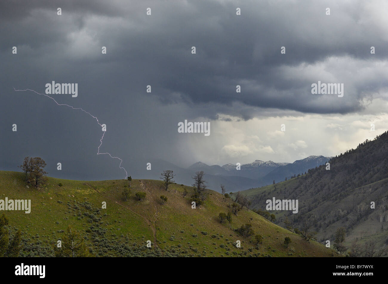 Lightning strikes in Yellowstone National Park Stock Photo - Alamy