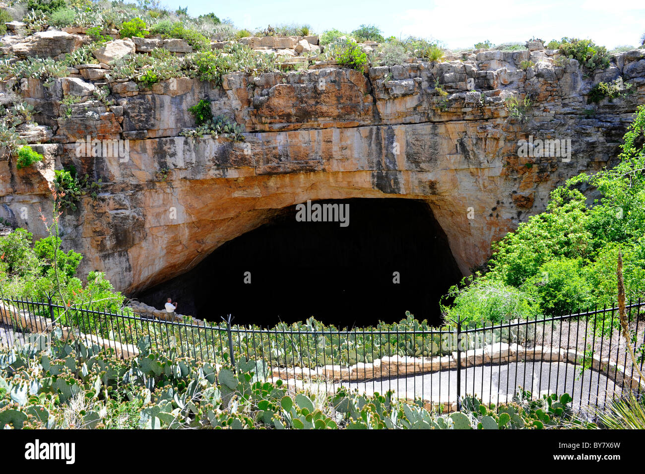 Carlsbad caverns bat hires stock photography and images Alamy