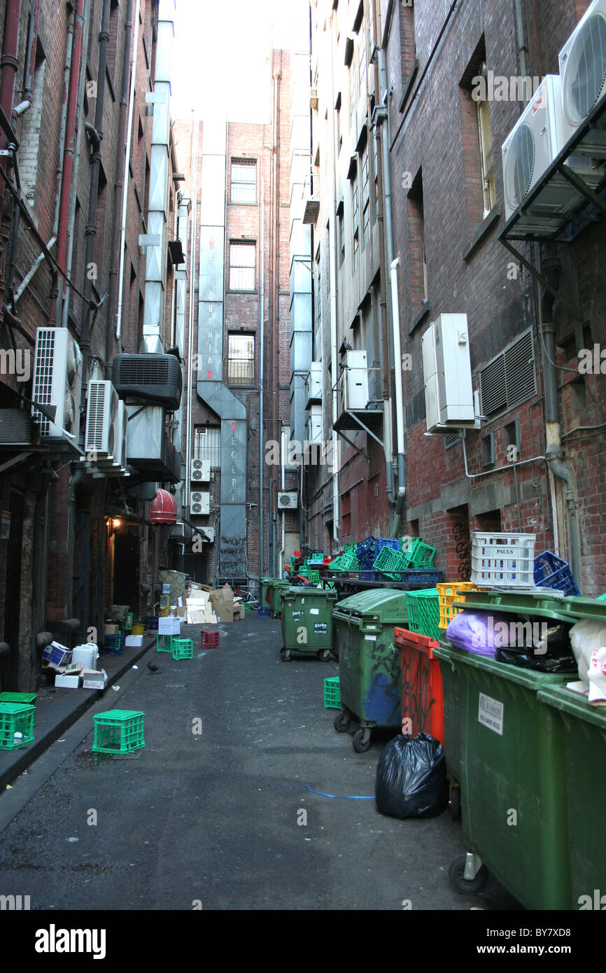Littered laneway showing scattered rubbish and overflowing garbage