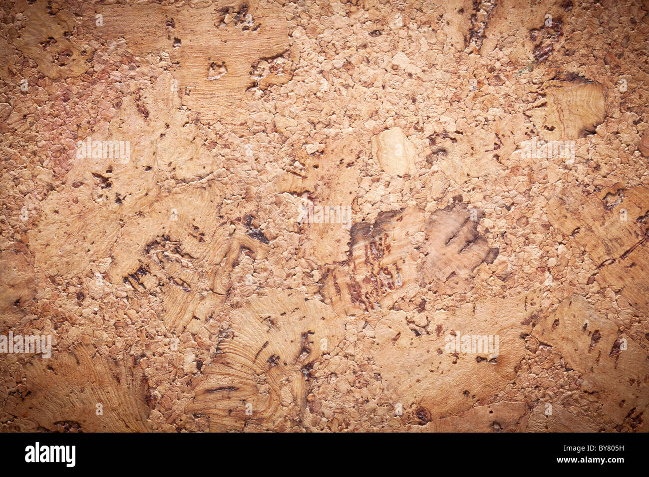 Image texture cork - wood surface. Stock Photo