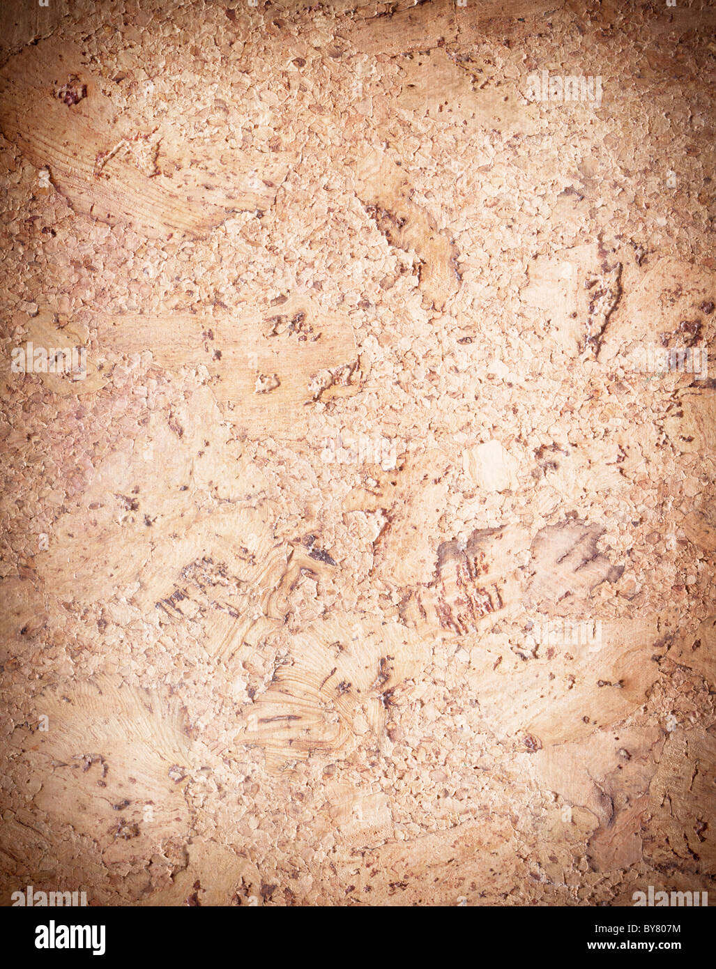 Image texture cork - wood surface. Stock Photo