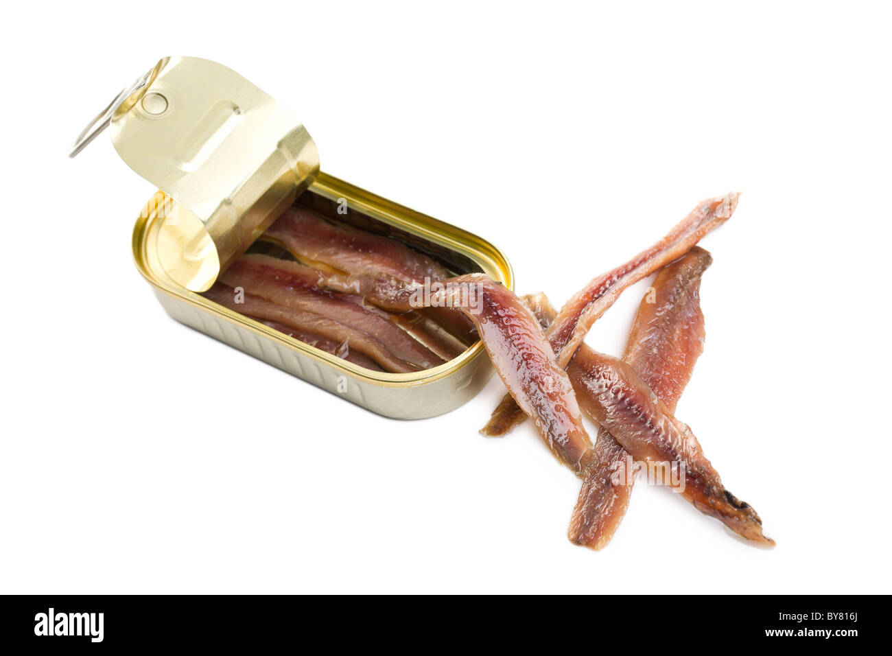 the anchovies fillets in tin can Stock Photo Alamy