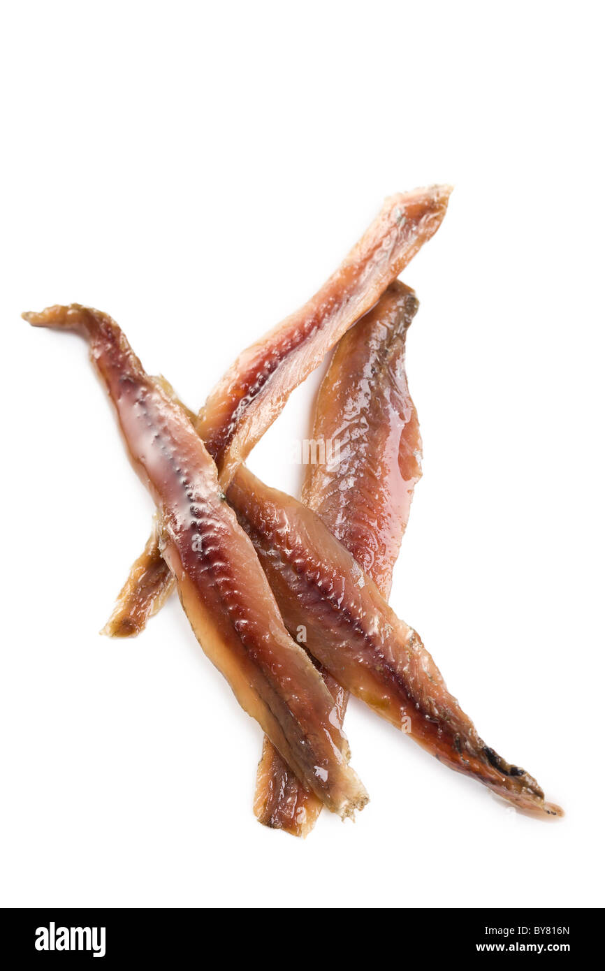 anchovies fillets on white background Stock Photo Alamy