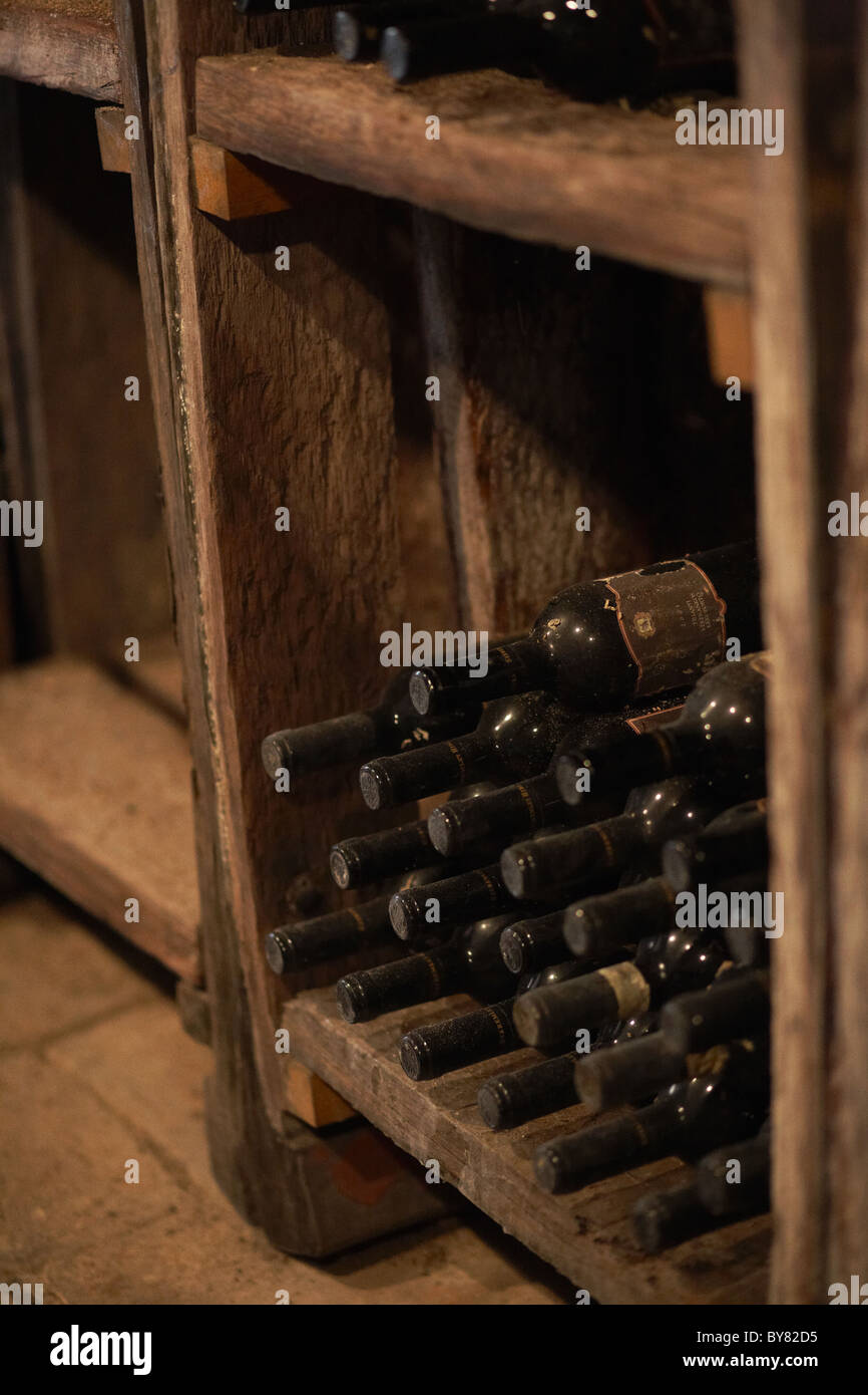 old wine bottles in cellar Stock Photo Alamy
