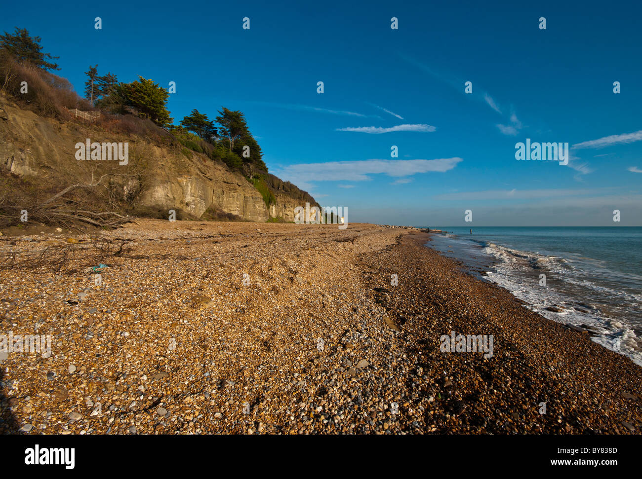 The Weald Sandstone Cliffs at Cliff End Pett Level East Sussex England