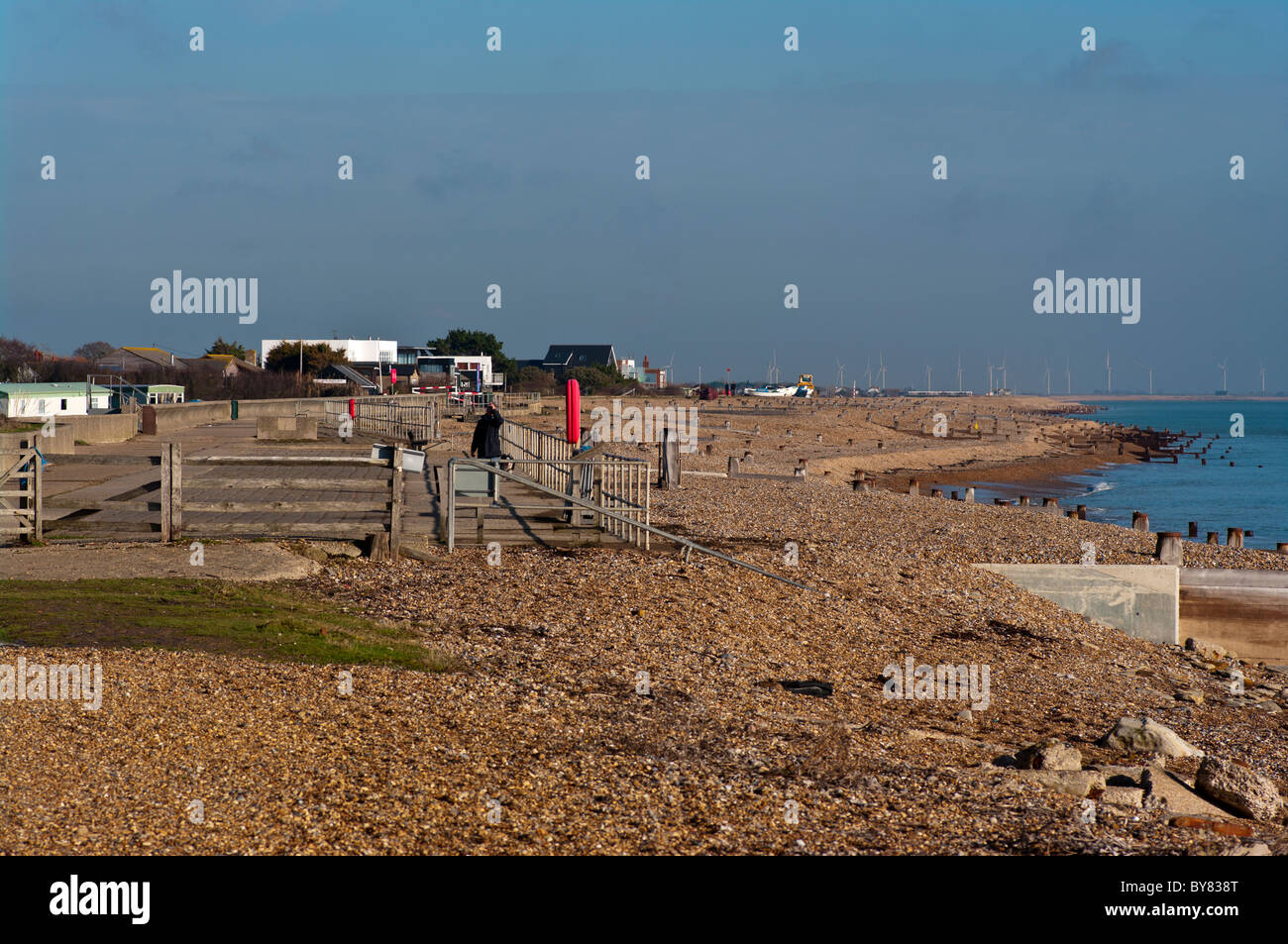 are dogs allowed on pett level beach