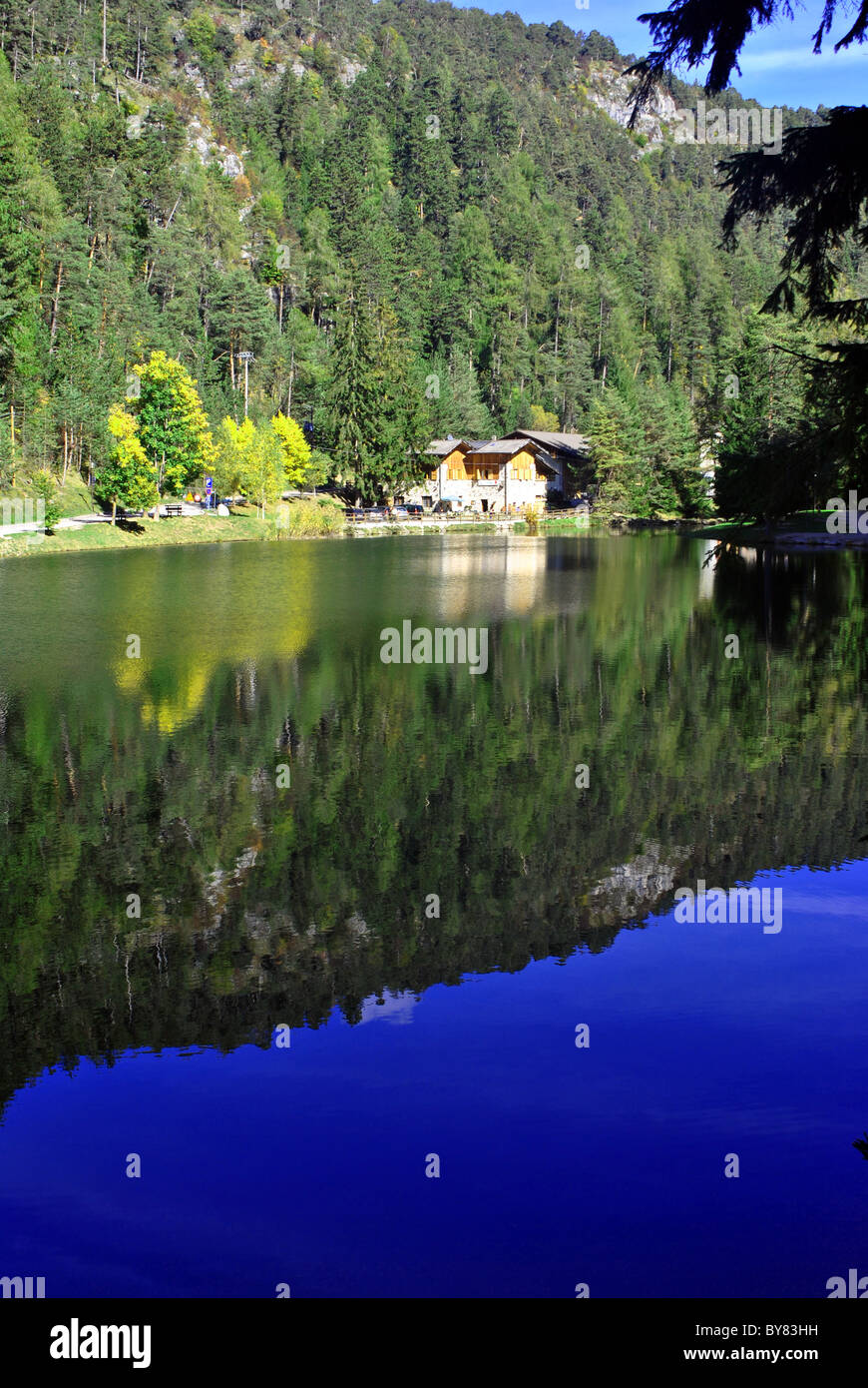 mountain lake with pine trees and sky reflected Stock Photo - Alamy