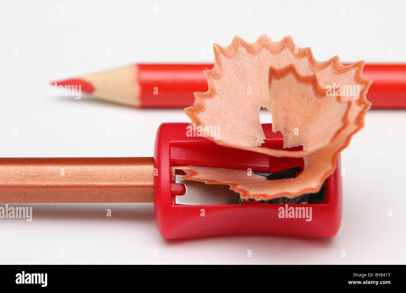 With a red pencil-sharpener and shavings. Stock Photo