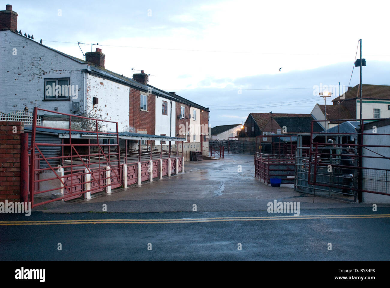 Entrance to Highbridge Livestock market early morning Stock Photo Alamy