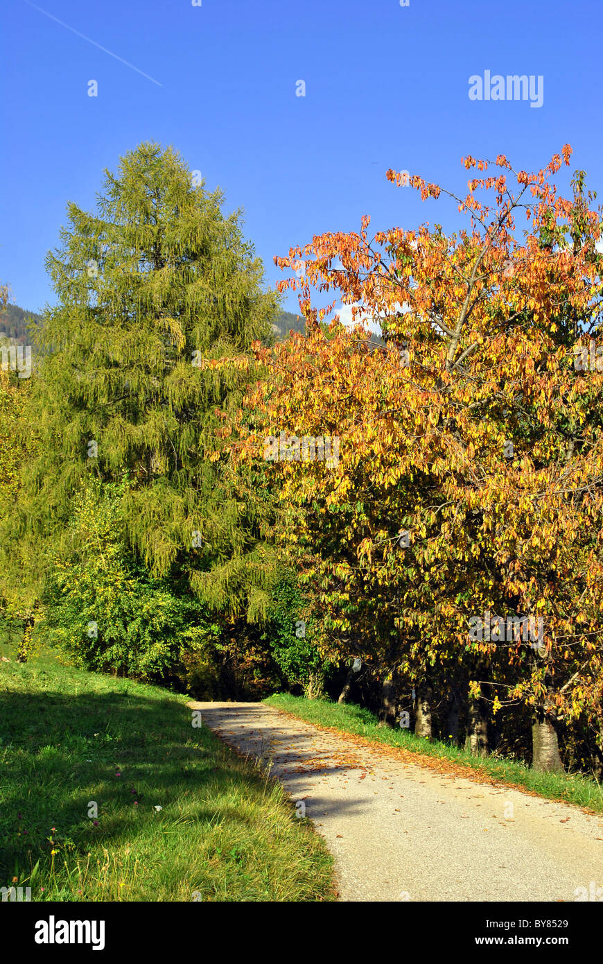 mountain road in the alpine valley Stock Photo Alamy