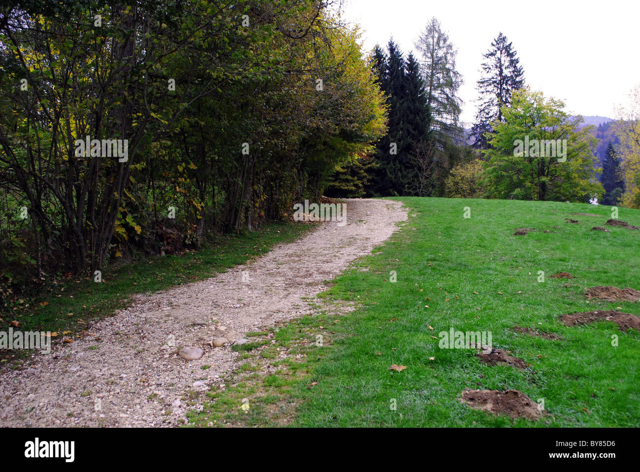mountain road in the alpine valley Stock Photo Alamy