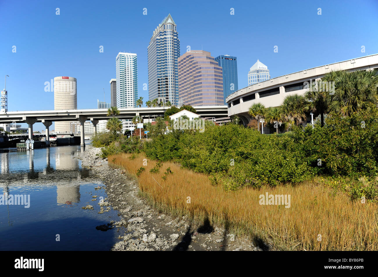 Tampa Florida shoreline restoration project funded by Southwest Florida Water Restoration and surface water management Stock Photo