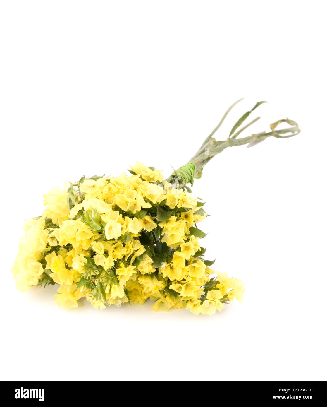 Small bouquet of yellow statice flowers on white background Stock Photo