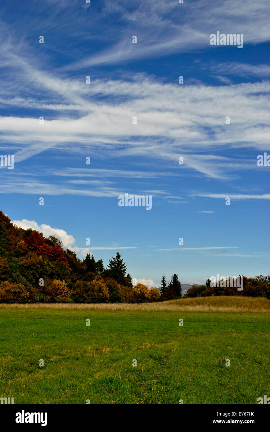 forest in autumn with bright colors and blue sky Stock Photo - Alamy
