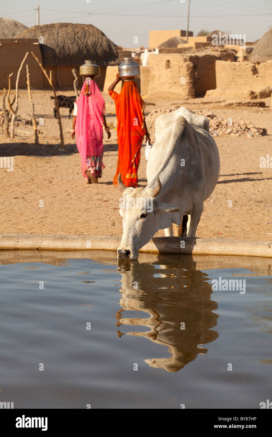 India, Rajasthan, women carrying water near village tank Stock Photo