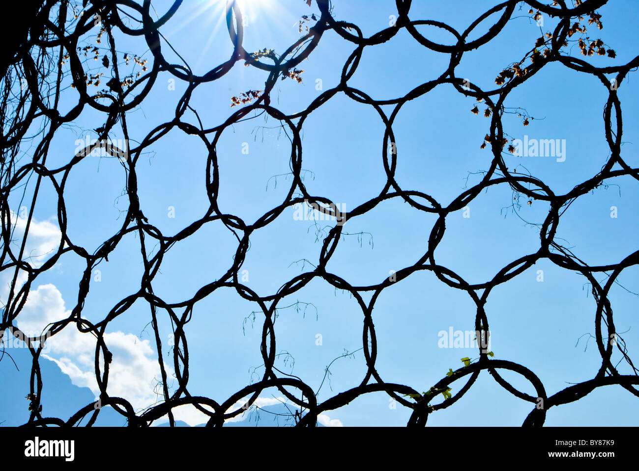 steel wire mesh for rock fall protection Stock Photo - Alamy