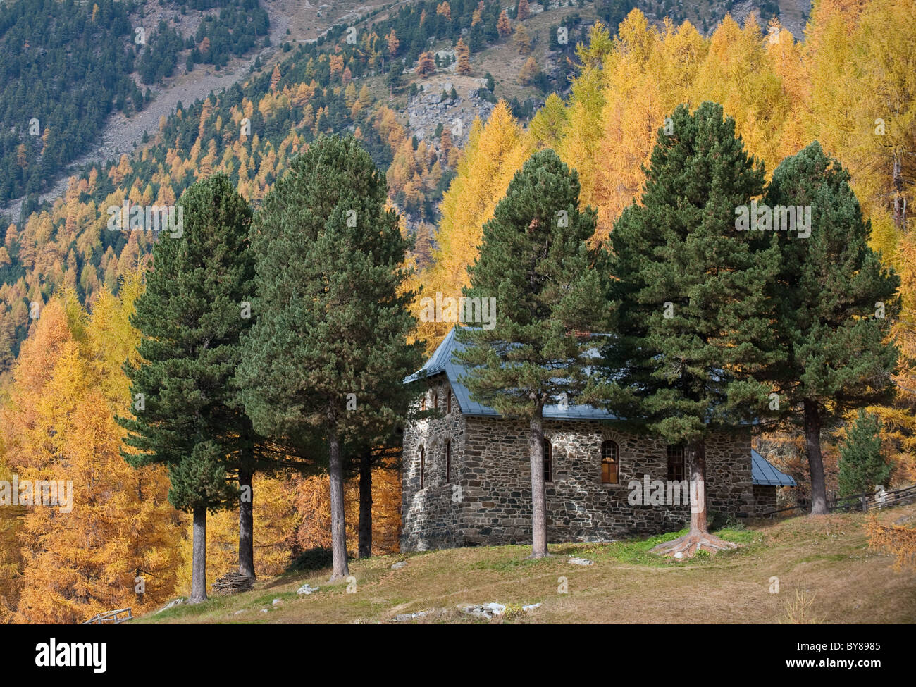Autumn colours in trentino Alto Adige Italy Stock Photo