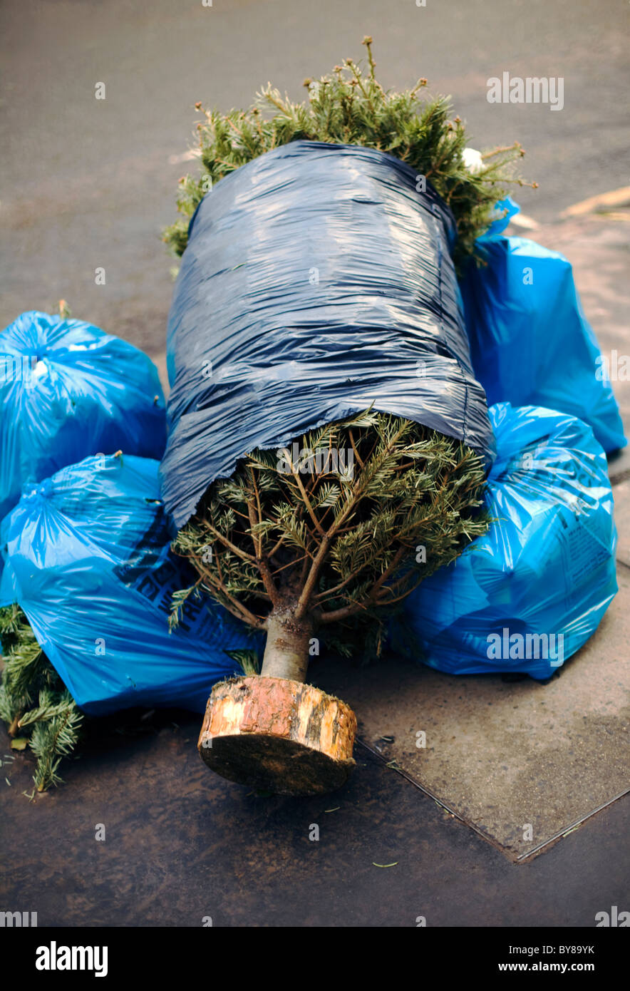 Wrapped thrown away finished hires stock photography and images Alamy