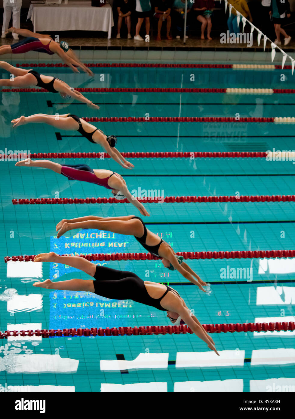 Female swimmers flying off the blocks at start of a swimming race Stock