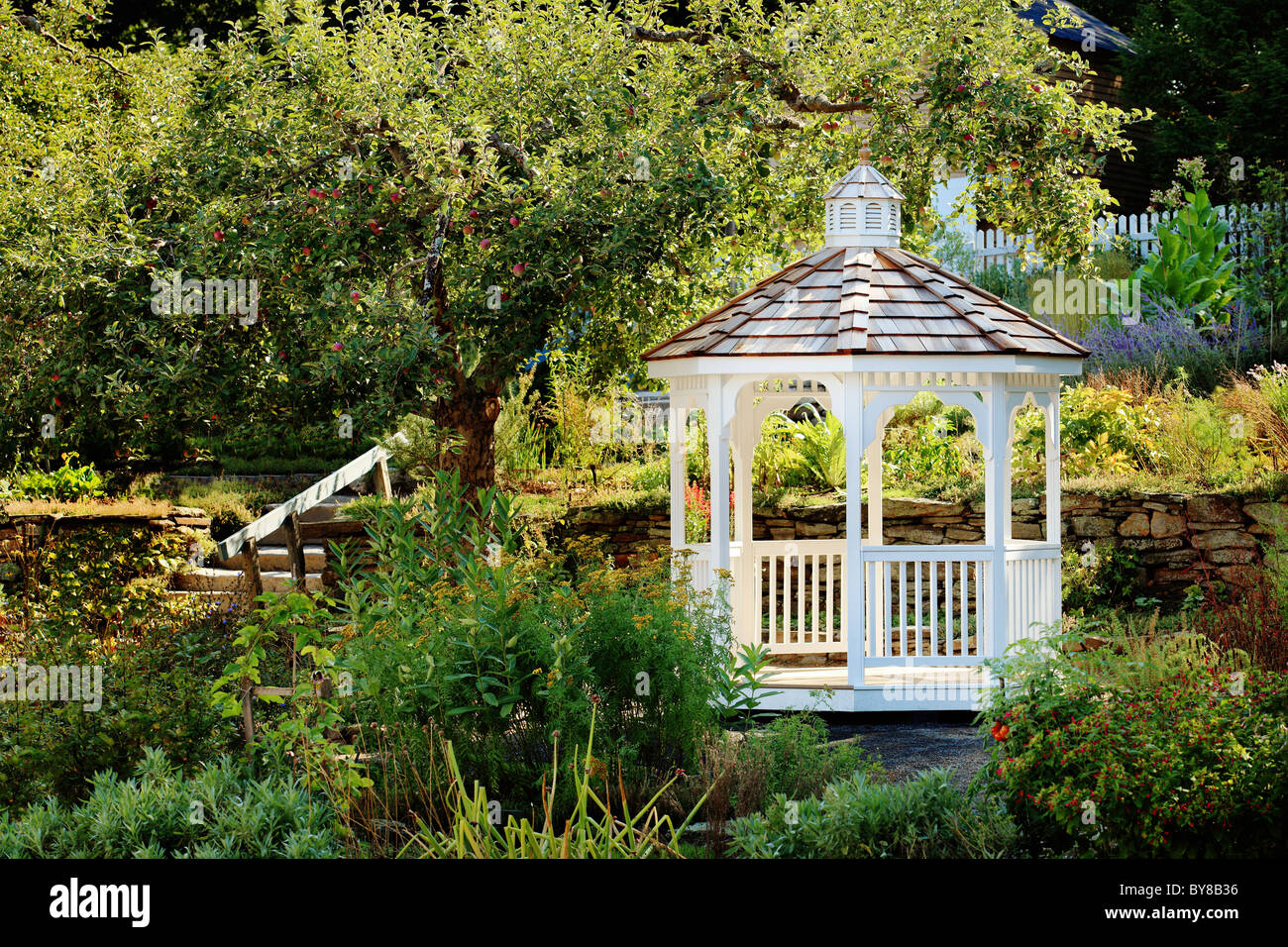 A white gazebo nestled in a beautifully landscaped yard Stock Photo Alamy