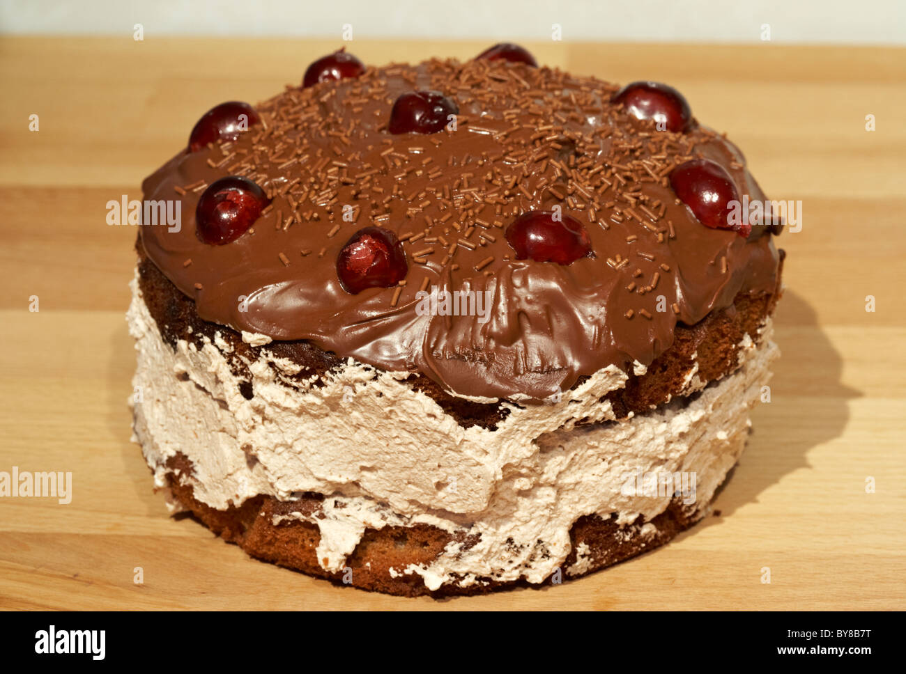 home made chocolate sponge cake with cream filling and chocolate