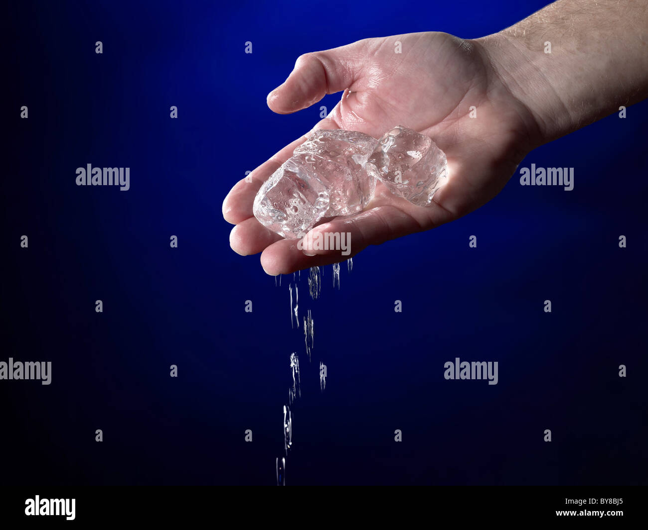 Hand Holding Melting Ice Cubes Stock Photo