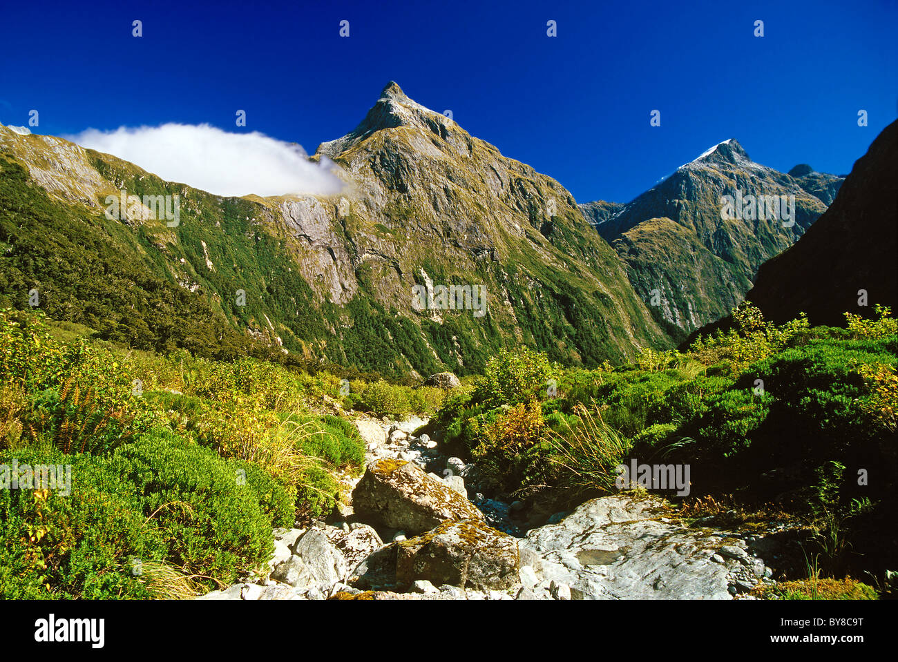 milford trail