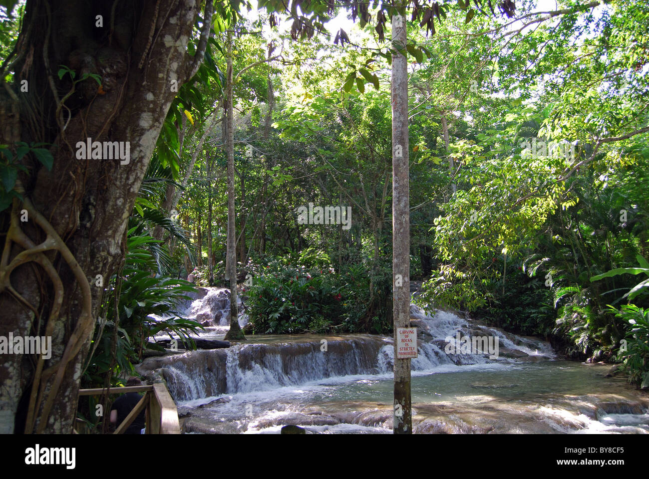 Dunns River Falls, Ocho Rios, Middlesex County, Jamaica, Caribbean. Stock Photo