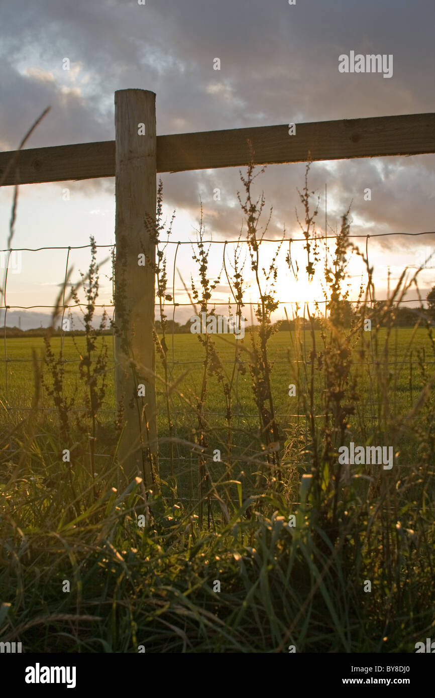 A silhouette of a fence at sunset, in Yorkshire Stock Photo - Alamy