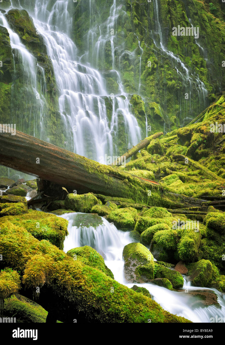 Close up of Proxy Falls. Three Sisters Wilderness, Oregon Stock Photo
