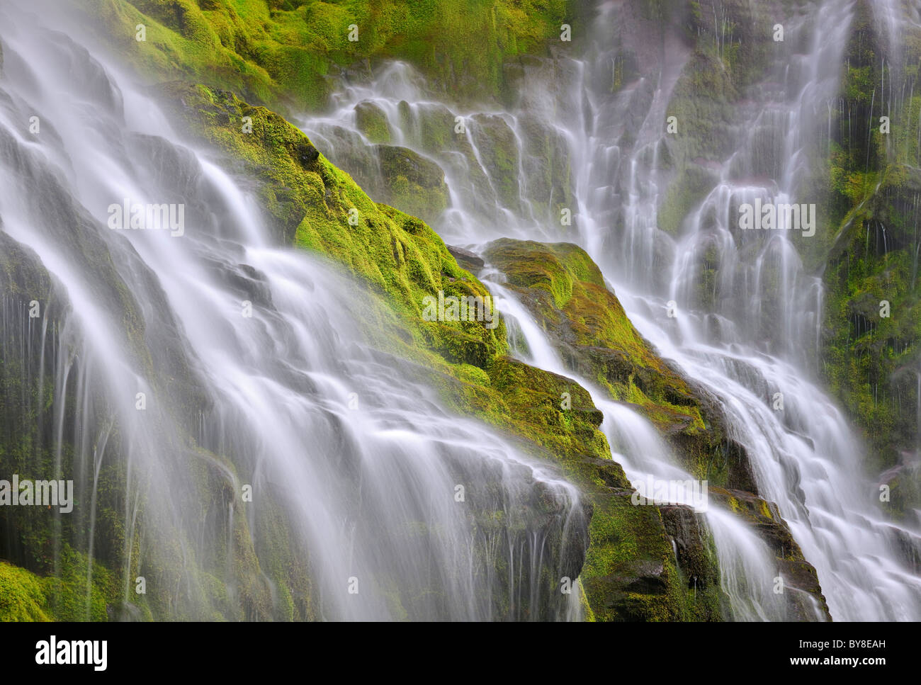 Close up of Proxy Falls. Three Sisters Wilderness, Oregon Stock Photo