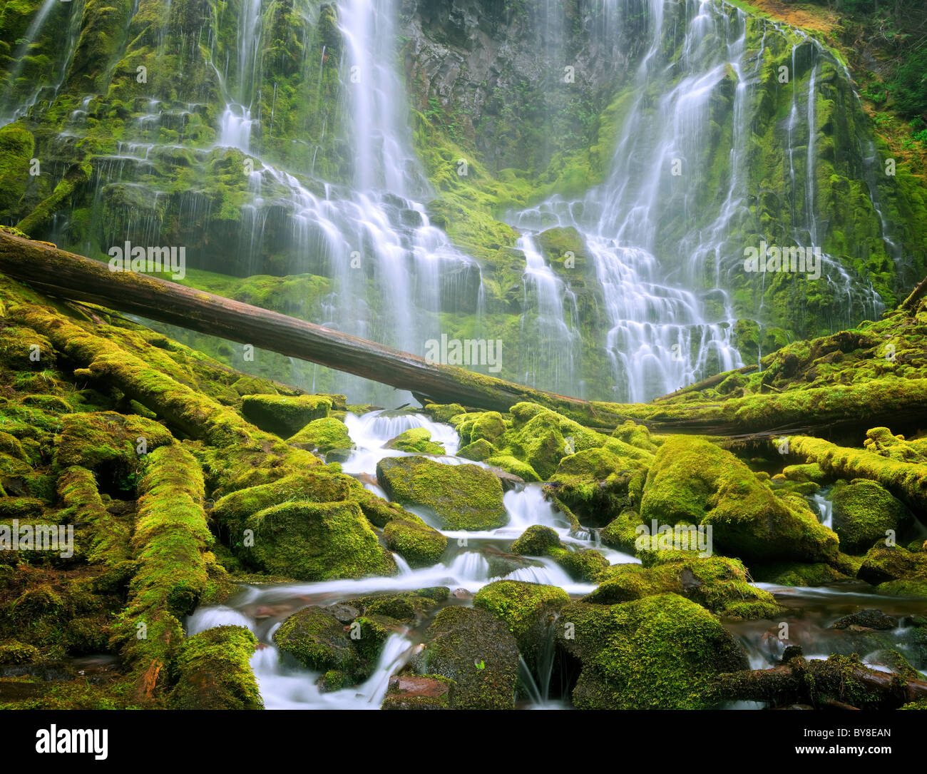 Close up of Proxy Falls. Three Sisters Wilderness, Oregon Stock Photo