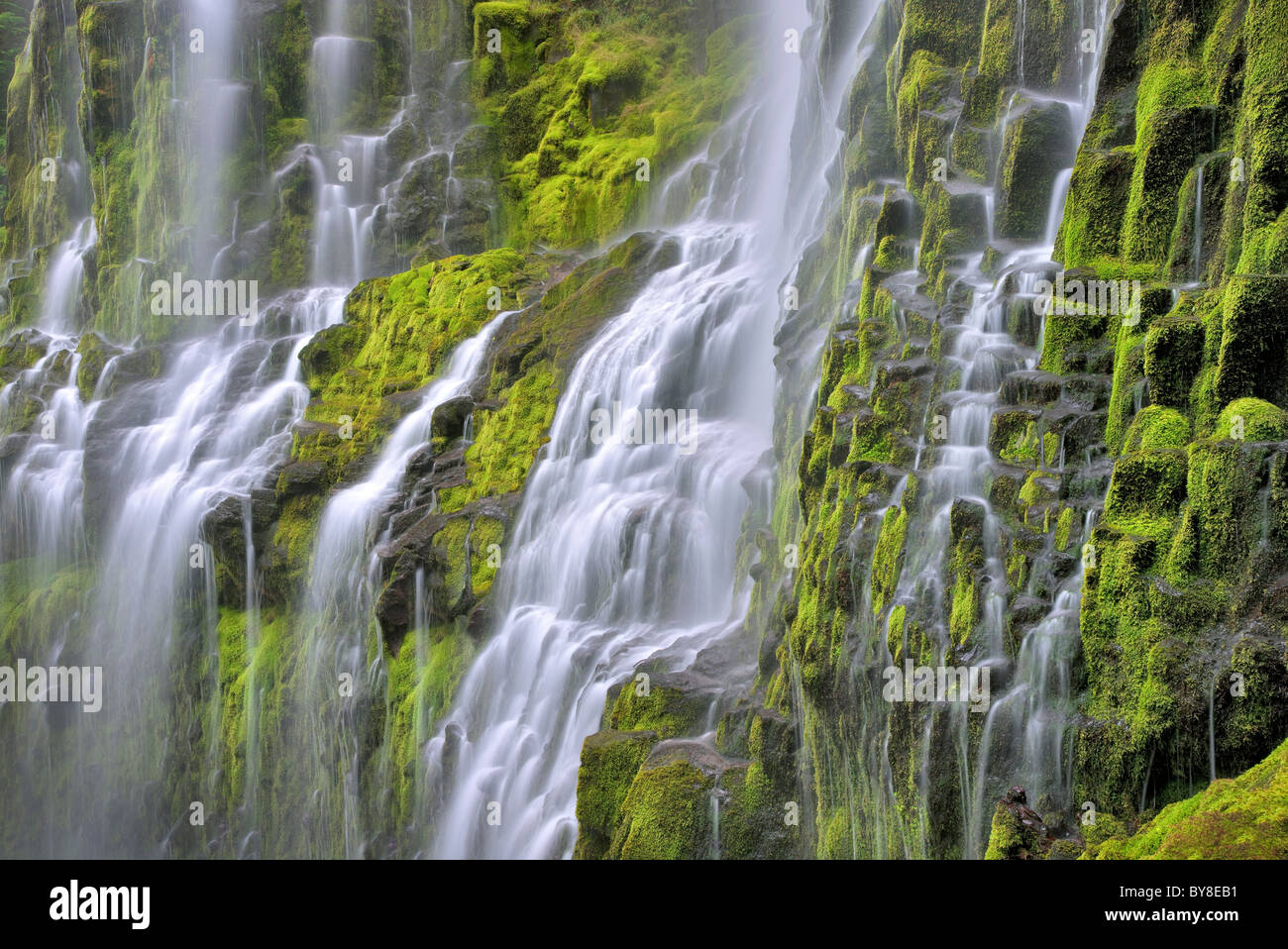 Close up of Proxy Falls. Three Sisters Wilderness, Oregon Stock Photo