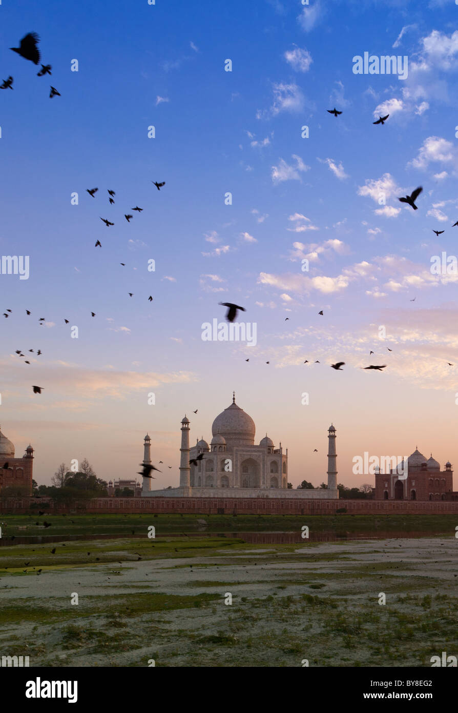 India, Uttar Pradesh, Agra, view over Yamuna riverbed towards Taj Mahal in late evening light with birds circling overhead Stock Photo