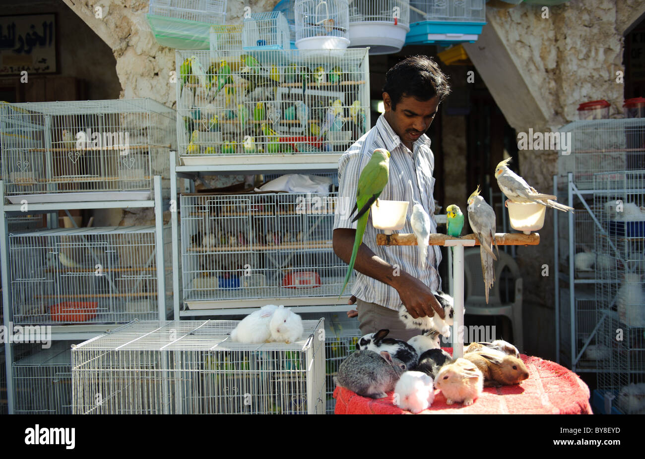 A man selling birds in cages and rabbits at a pet shop in Souq Waqif in