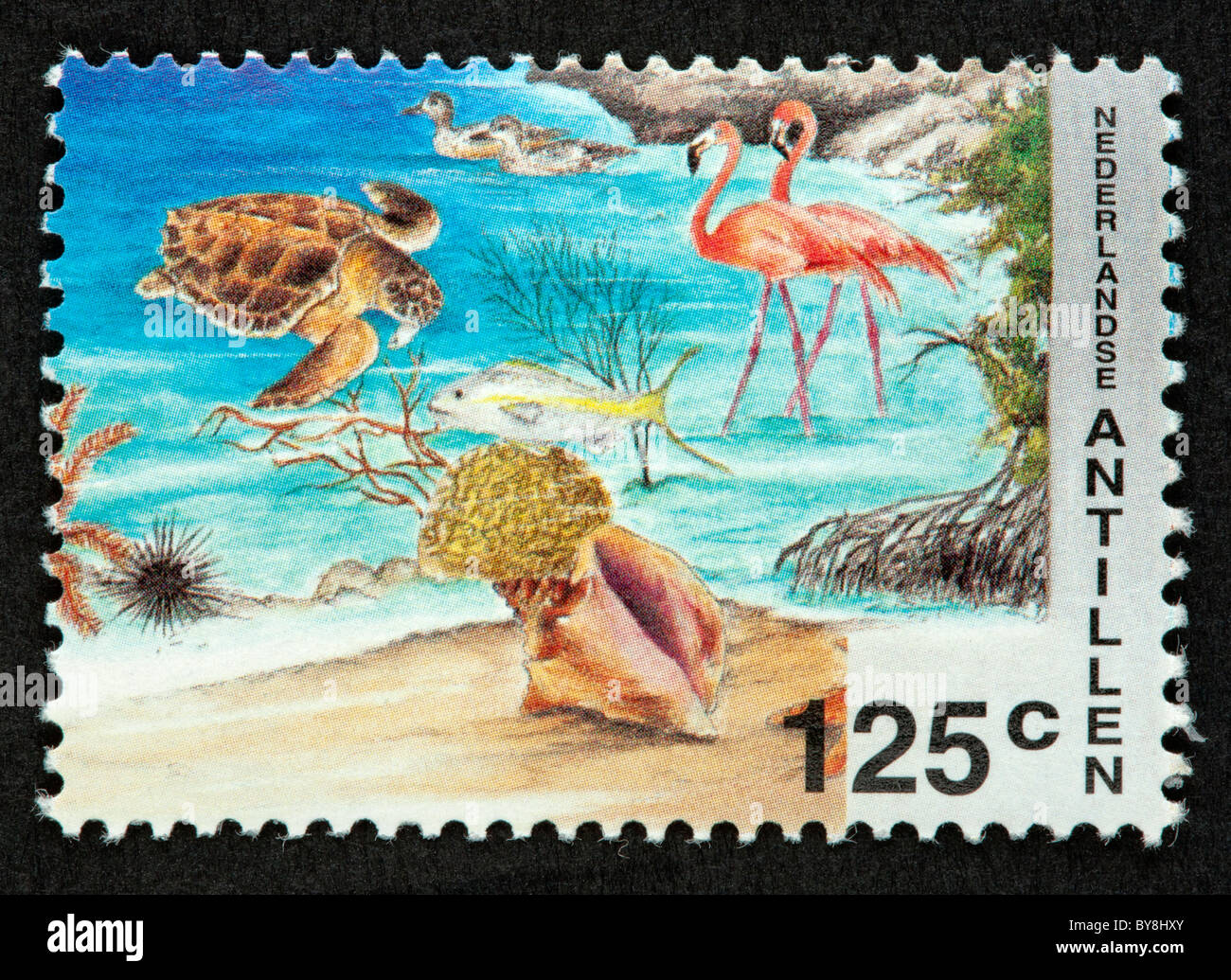 Netherlands Antilles postage stamp Stock Photo