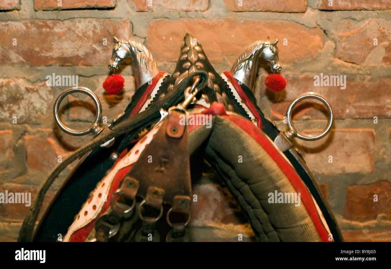 Old horse harness hi-res stock photography and images - Alamy